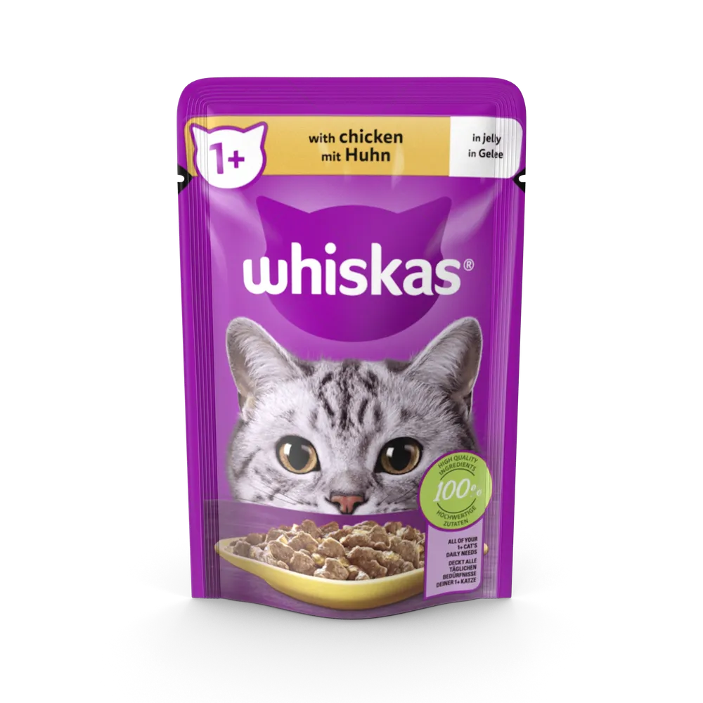 Cat Food