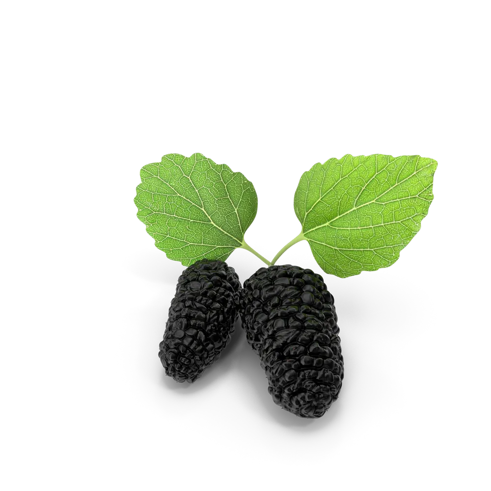 Mulberry (Gümüş - Standart) - 1